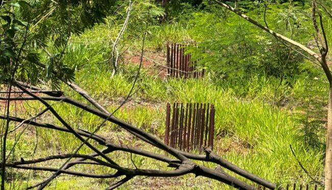 Terreno  - Vila Amelia, Ribeirão Preto /SP