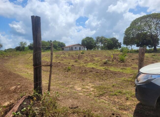 Fazenda - Pará/PA