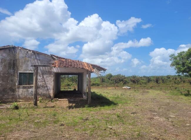 Fazenda - Pará/PA