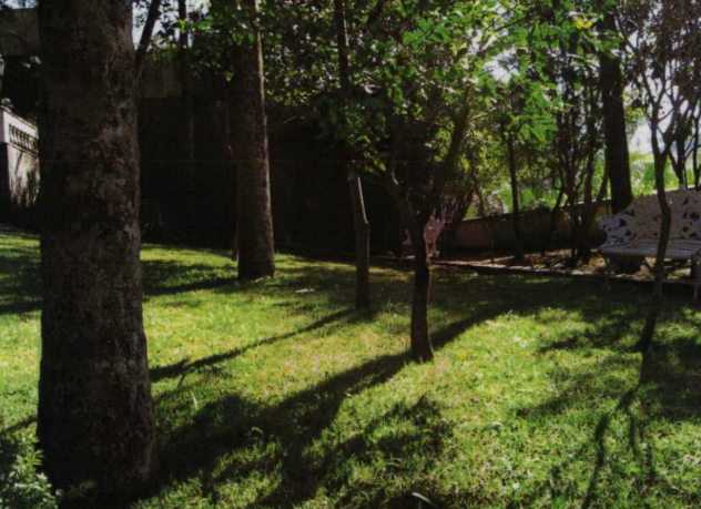 Casa 1.700,00m²- Vila Albertina, São Paulo/SP