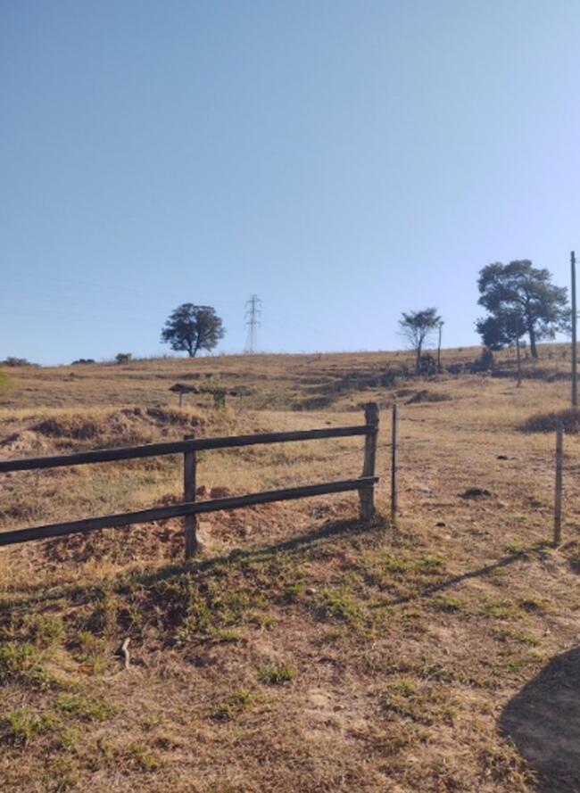 Fazenda - Cosmópolis/SP
