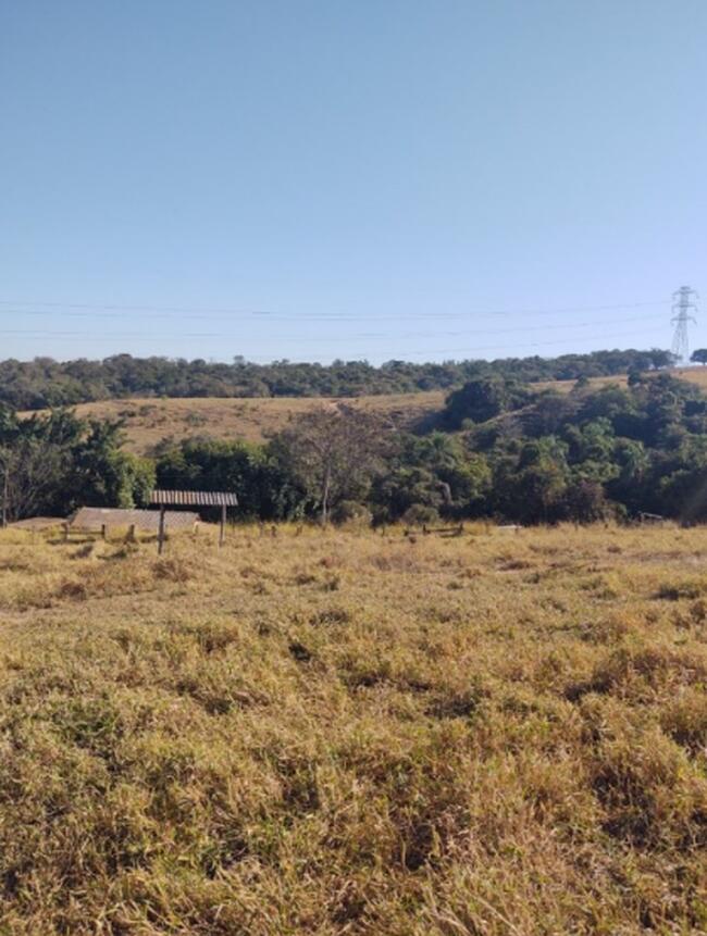 Fazenda - Cosmópolis/SP
