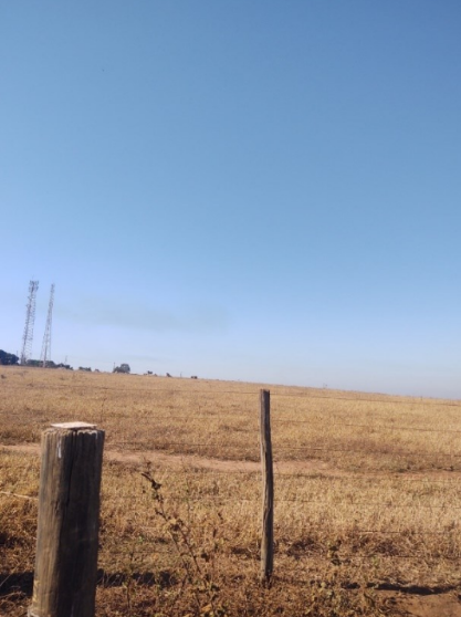 Fazenda - Cosmópolis/SP