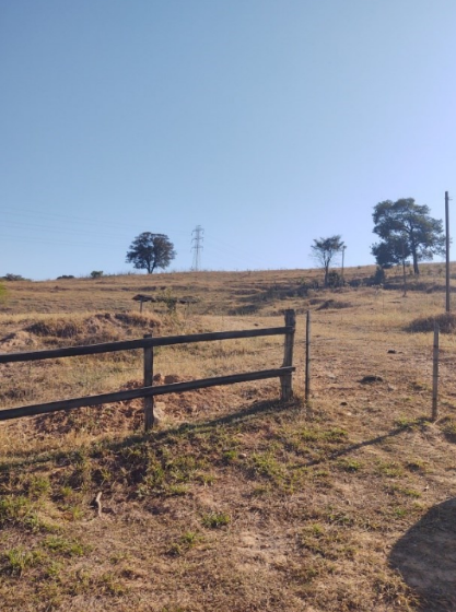 Fazenda - Cosmópolis/SP