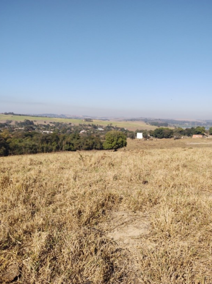 Fazenda - Cosmópolis/SP