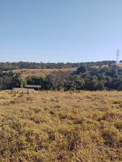 Fazenda - Cosmópolis/SP