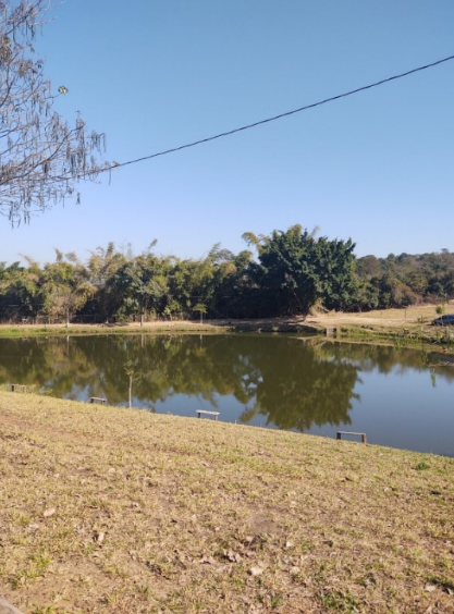 Fazenda - Cosmópolis/SP