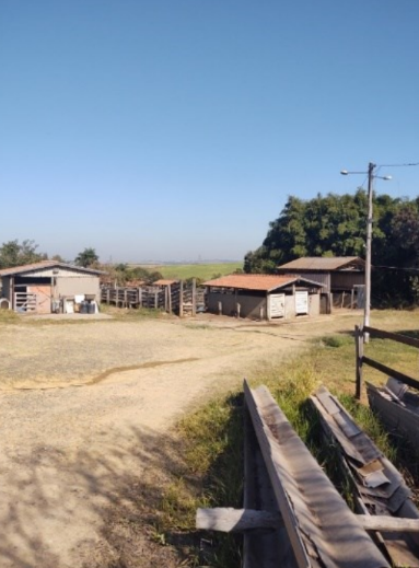 Fazenda - Cosmópolis/SP