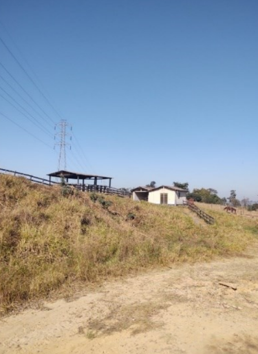 Fazenda - Cosmópolis/SP