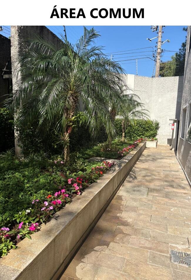 Apartamento - Jardim Marajoara, São Paulo/SP