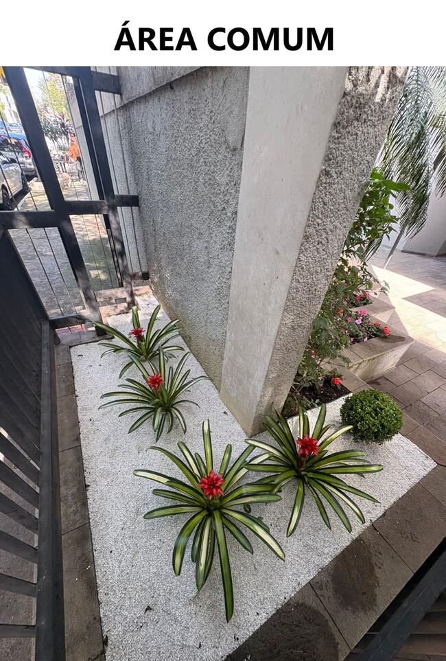 Apartamento - Jardim Marajoara, São Paulo/SP