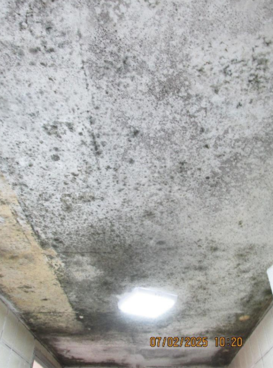 Apartamento - Vila Aurocan, Campinas/SP