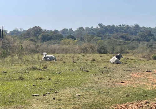 Gleba de Terras 117.517,45m² - Conchas, São Paulo/SP