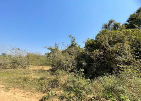 Gleba de Terras 117.517,45m² - Conchas, São Paulo/SP