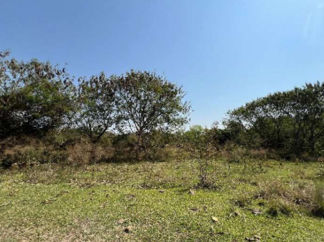 Gleba de Terras 117.517,45m² - Conchas, São Paulo/SP