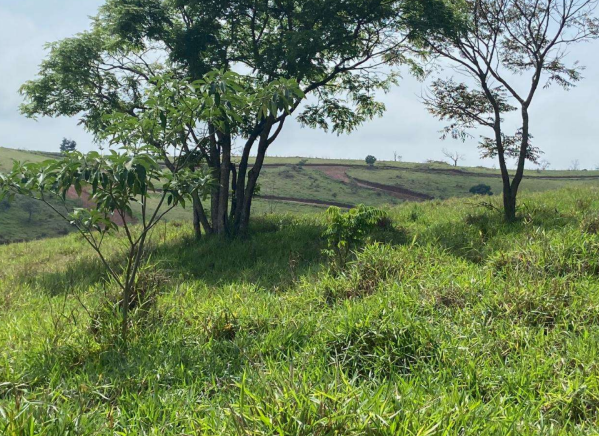 Gleba de Terras - Atibaia/SP