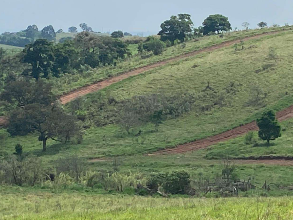 Gleba de Terras - Atibaia/SP