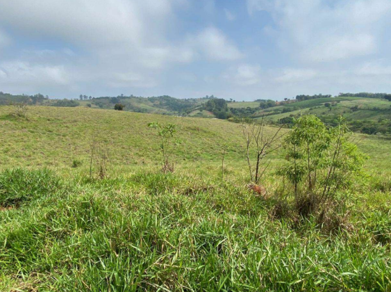Gleba de Terras - Atibaia/SP