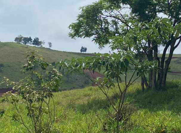 Gleba de Terras - Atibaia/SP
