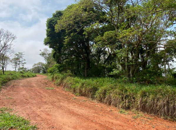 Gleba de Terras - Atibaia/SP