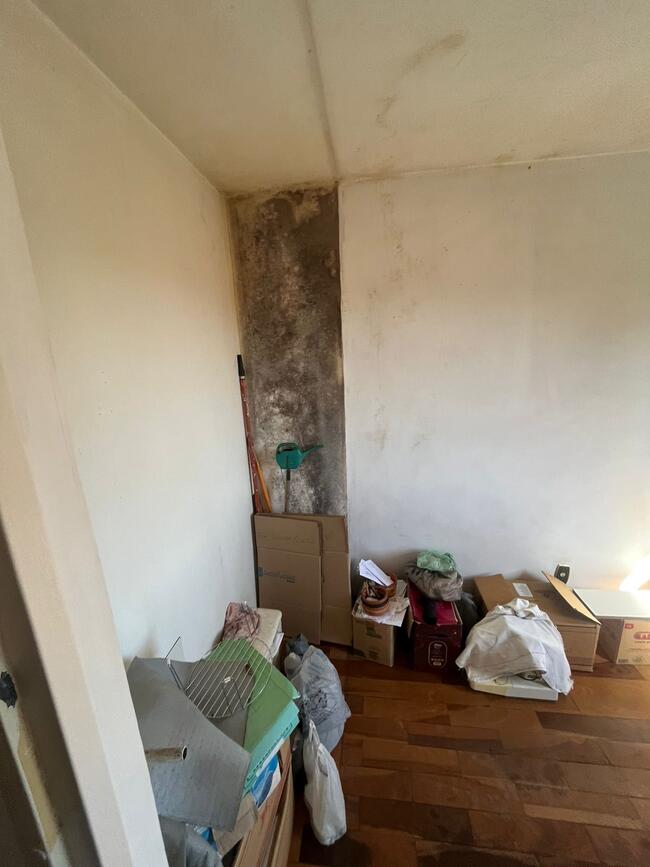 Apartamento - Vila Sonia, São Paulo/SP