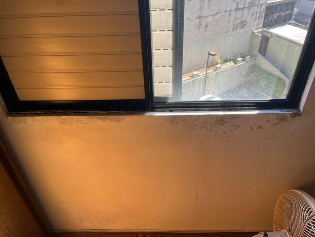 Apartamento - Vila Sonia, São Paulo/SP