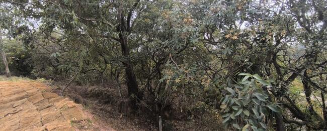 Terreno - Fazenda Genebra, Sorocaba/SP
