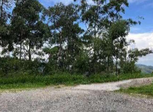 Terreno em Condomínio - Morada do Sol, Santana de Parnaíba/SP