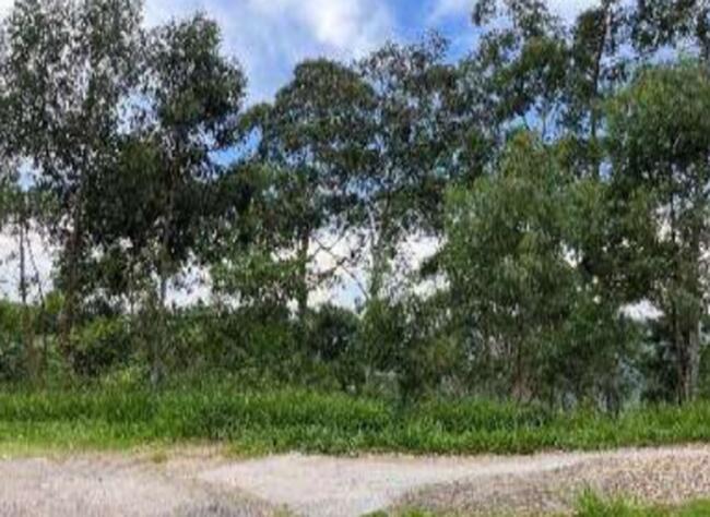 Terreno em Condomínio - Morada do Sol, Santana de Parnaíba/SP