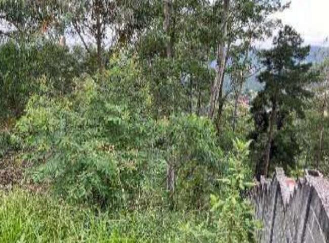 Terreno em Condomínio - Morada do Sol, Santana de Parnaíba/SP