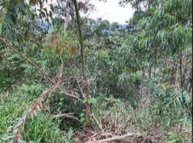 Terreno em Condomínio - Morada do Sol, Santana de Parnaíba/SP