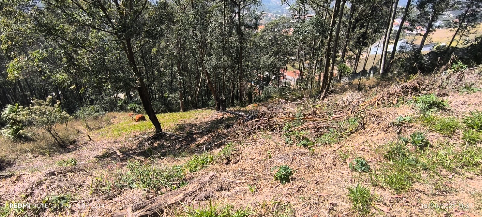 Terreno em Condomínio - Morada do Sol, Santana de Parnaíba/SP