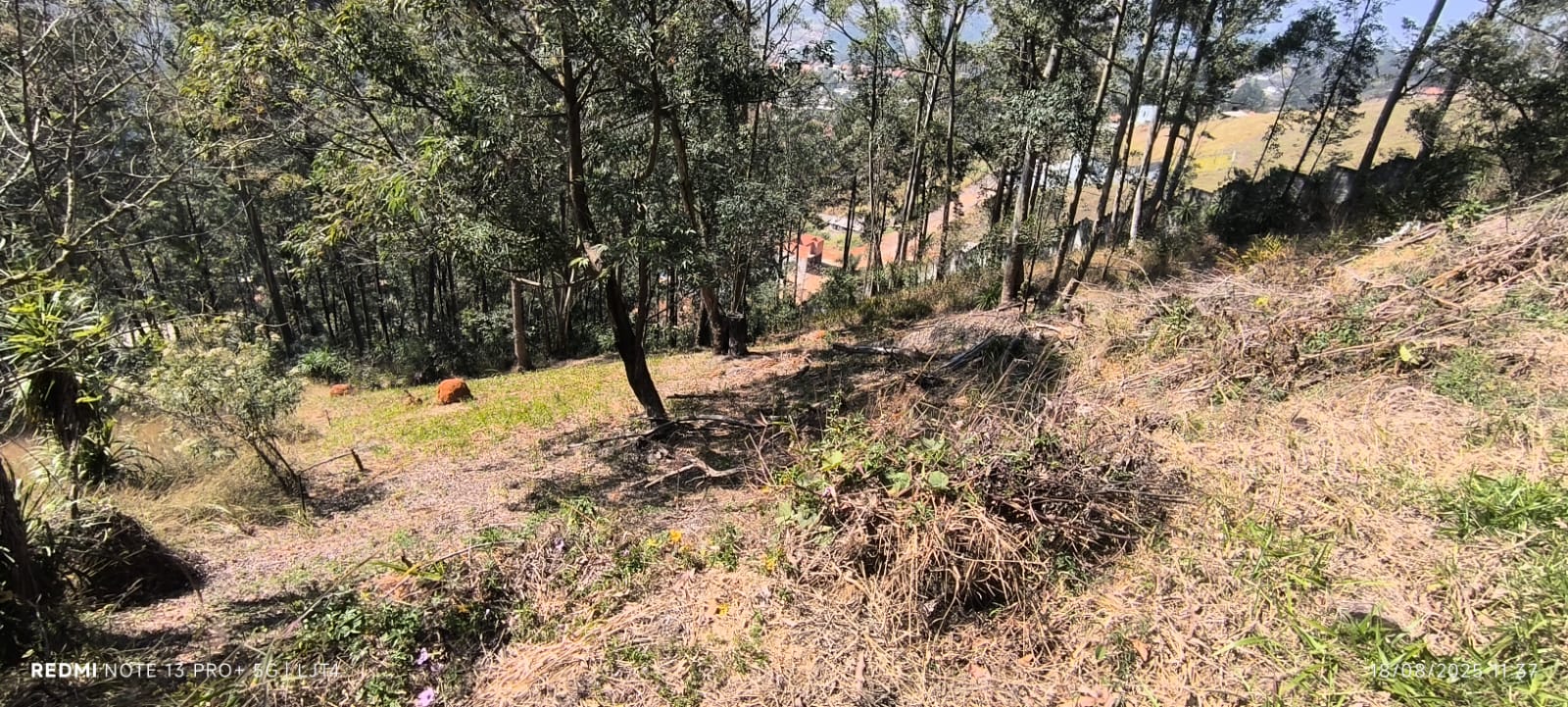 Terreno em Condomínio - Morada do Sol, Santana de Parnaíba/SP