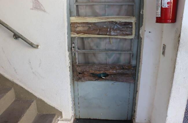Apartamento - Jardim Europa, Suzano/SP