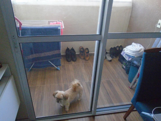 Apartamento - Vila Nova Conceicao, Osasco/SP