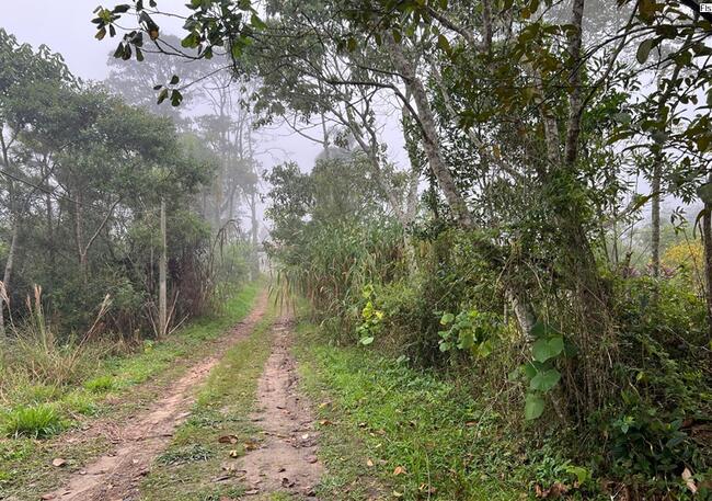 Sítio - Cipó, Embu-Guaçu/SP