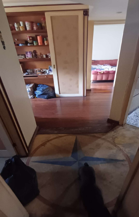 Apartamento - Parque da Mooca, São Paulo/SP