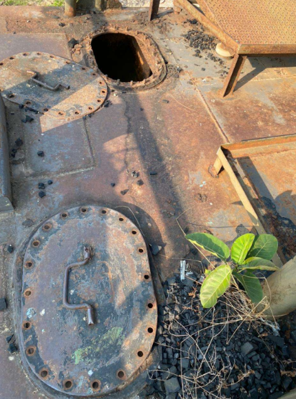 Embarcação - Ferry boat Avante Remar