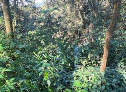 Terreno - Parque das Garças, Santo André/SP