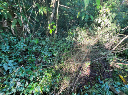 Terreno - Parque das Garças, Santo André/SP