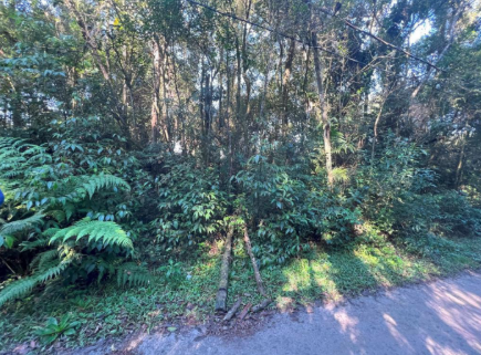 Terreno - Parque das Garças, Santo André/SP
