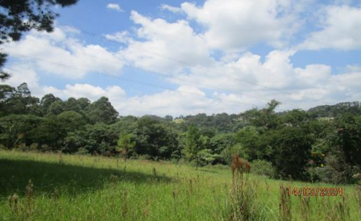 Lote 20,000m² - São Roque/SP