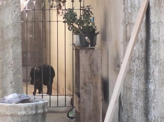 Casa Assobradada - Jardim das Figueiras II, Hortolândia/SP