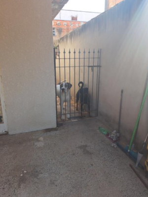 Casa Assobradada - Jardim das Figueiras II, Hortolândia/SP