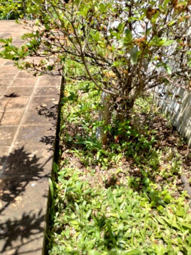 Chácara - Atibaia/SP