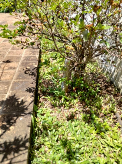 Chácara - Atibaia/SP