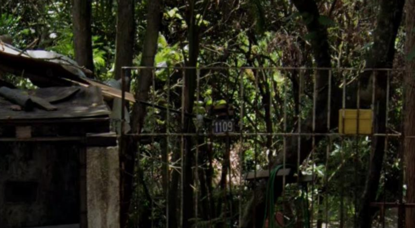 Terreno 3.772,00m² - Parque Rincão, Cotia/SP