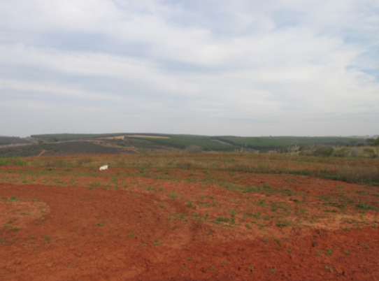 Propriedade Rural 20,88ha - Barrocão, Avaí/SP