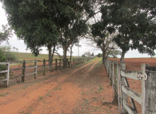 Propriedade Rural 20,88ha - Barrocão, Avaí/SP