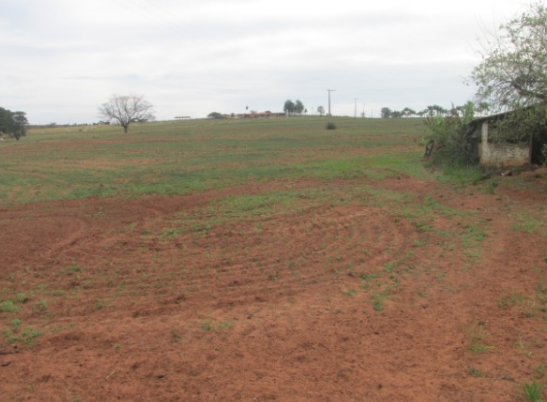Propriedade Rural 20,88ha - Barrocão, Avaí/SP